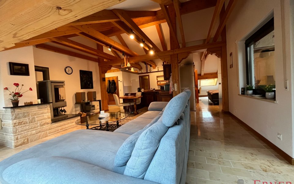 Wohnzimmer und Kueche
